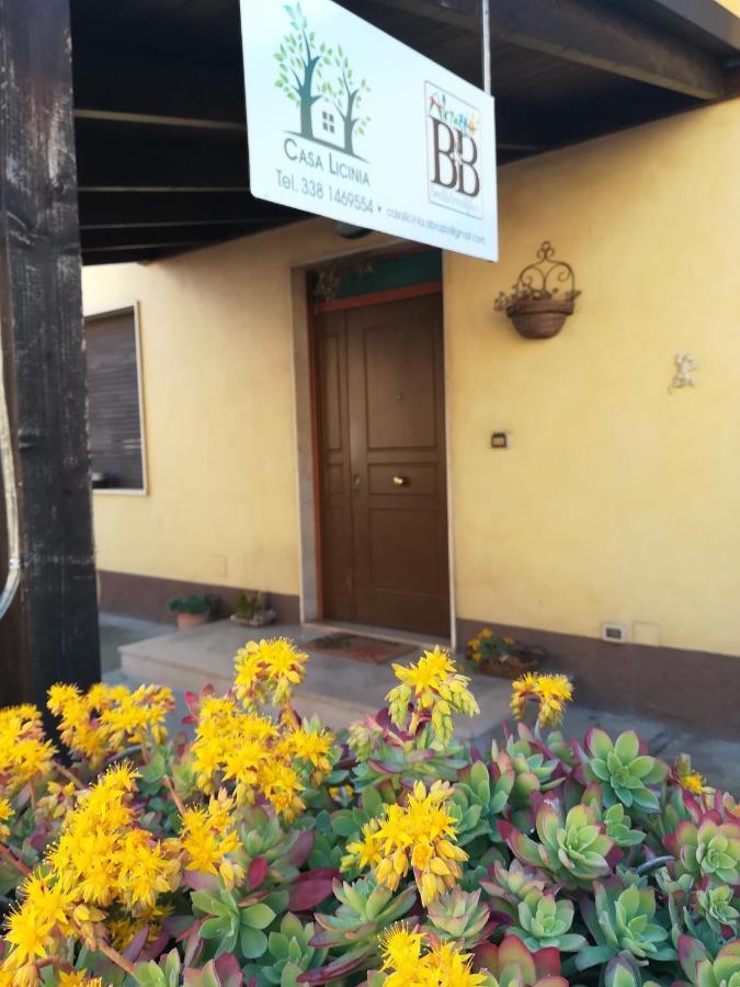 Casa Licinia Daire San Giovanni Teatino Dış mekan fotoğraf